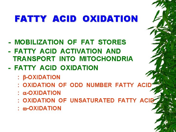FATTY ACID OXIDATION - MOBILIZATION OF FAT STORES - FATTY ACID ACTIVATION AND TRANSPORT