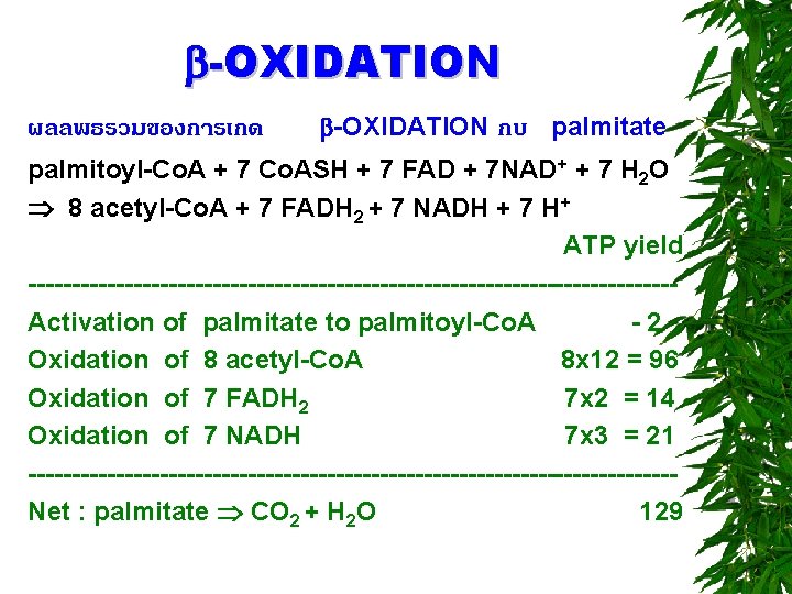  -OXIDATION ผลลพธรวมของการเกด -OXIDATION กบ palmitate palmitoyl-Co. A + 7 Co. ASH + 7