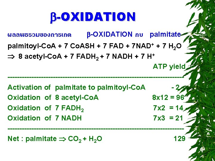  -OXIDATION ผลลพธรวมของการเกด -OXIDATION กบ palmitate palmitoyl-Co. A + 7 Co. ASH + 7