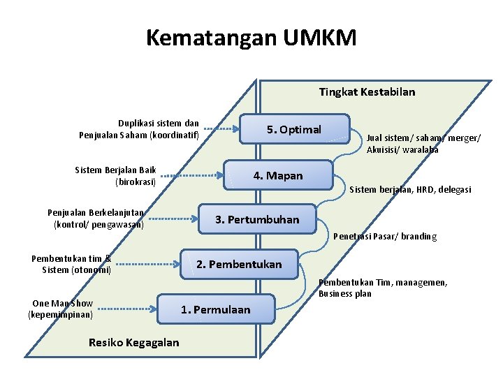 Kematangan UMKM 17 Tingkat Kestabilan Duplikasi sistem dan Penjualan Saham (koordinatif) 5. Optimal Sistem