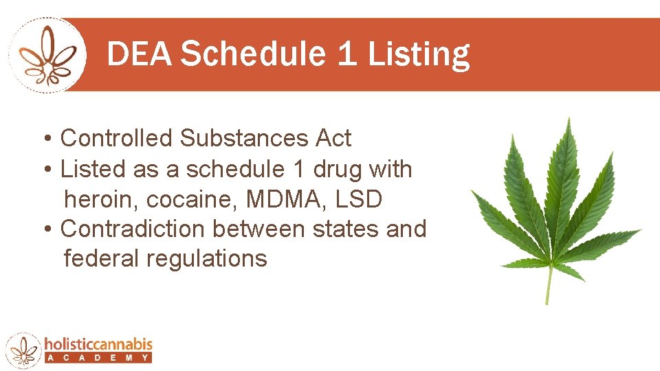 DEA Schedule 1 Listing • Controlled Substances Act • Listed as a schedule 1