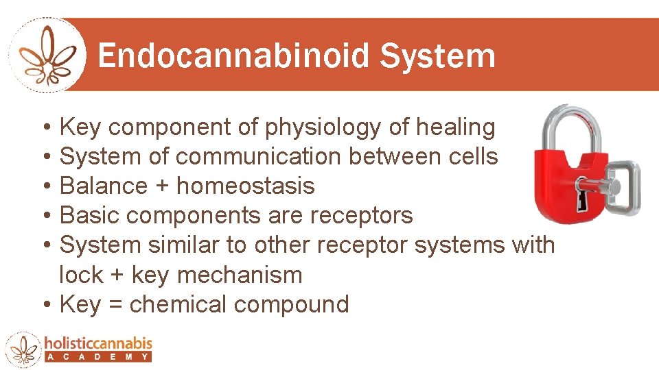 Endocannabinoid System • • • Key component of physiology of healing System of communication
