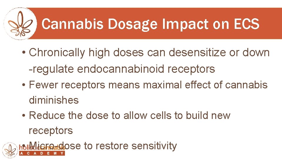 Cannabis Dosage Impact on ECS • Chronically high doses can desensitize or down -regulate