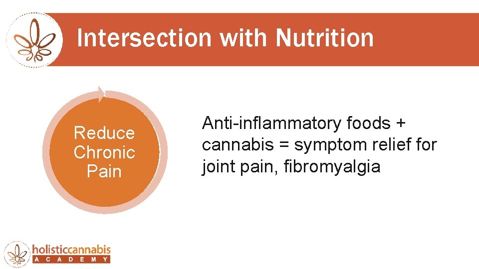 Intersection with Nutrition Reduce Chronic Pain Anti-inflammatory foods + cannabis = symptom relief for