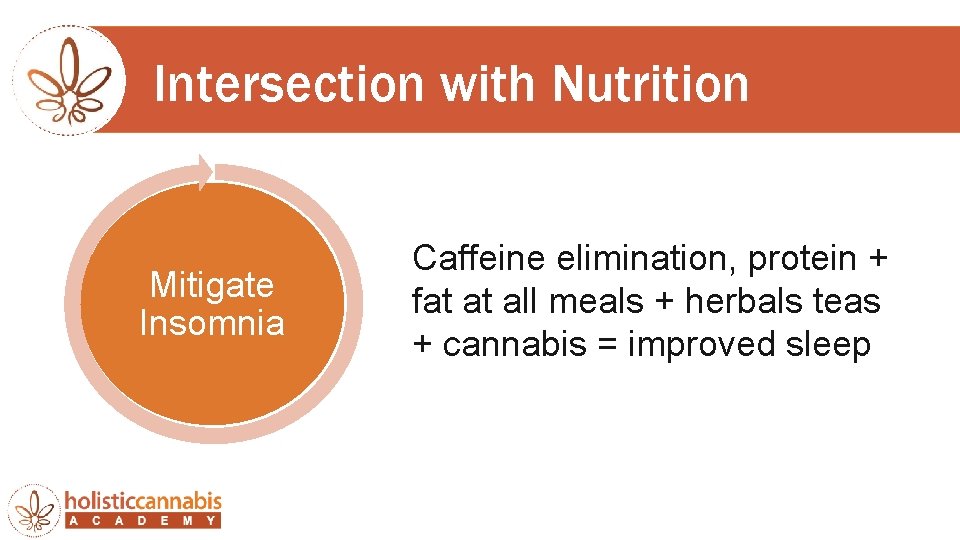 Intersection with Nutrition Mitigate Insomnia Caffeine elimination, protein + fat at all meals +
