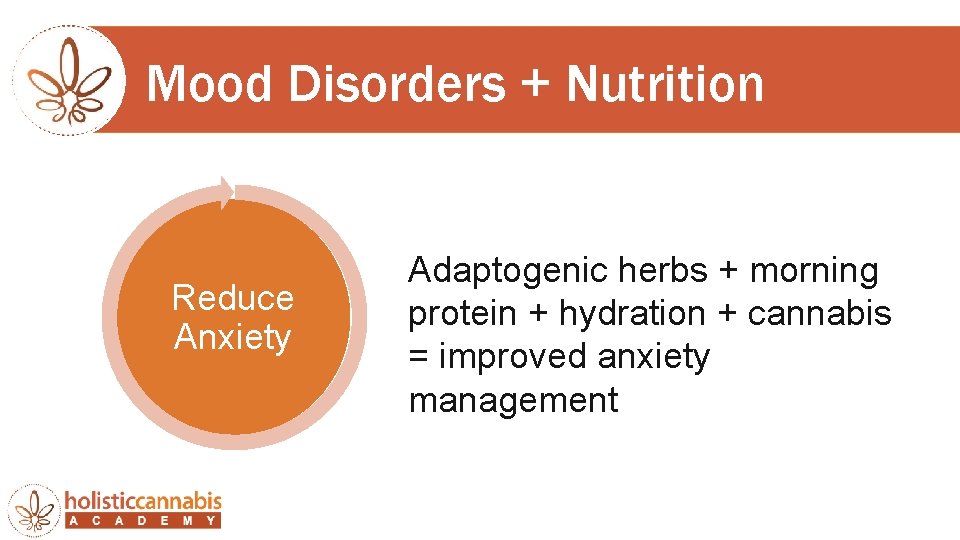 Mood Disorders + Nutrition Reduce Anxiety Adaptogenic herbs + morning protein + hydration +
