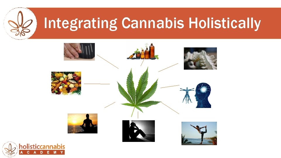 Integrating Cannabis Holistically 