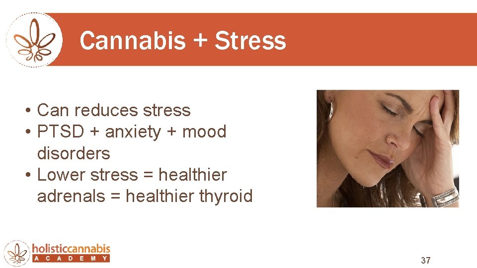 Cannabis + Stress • Can reduces stress • PTSD + anxiety + mood disorders