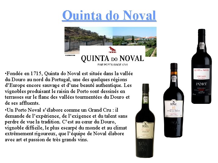 Quinta do Noval • Fondée en 1715, Quinta do Noval est située dans la