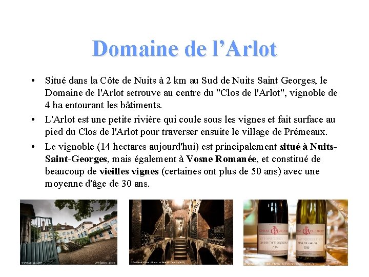 Domaine de l’Arlot • Situé dans la Côte de Nuits à 2 km au