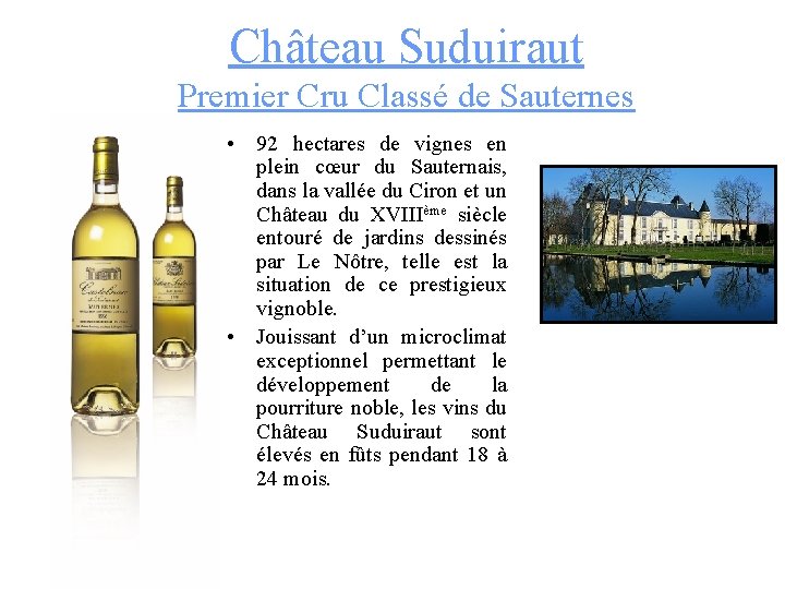 Château Suduiraut Premier Cru Classé de Sauternes • 92 hectares de vignes en plein