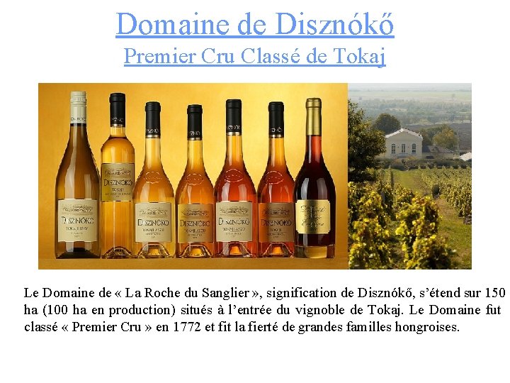 Domaine de Disznókő Premier Cru Classé de Tokaj Le Domaine de « La Roche