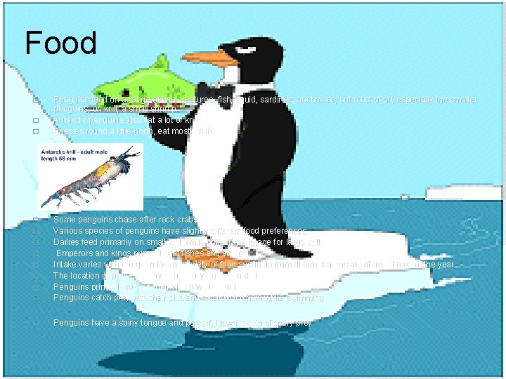 Food � � � Penguins feed on a range of sea creatures: fish, squid,