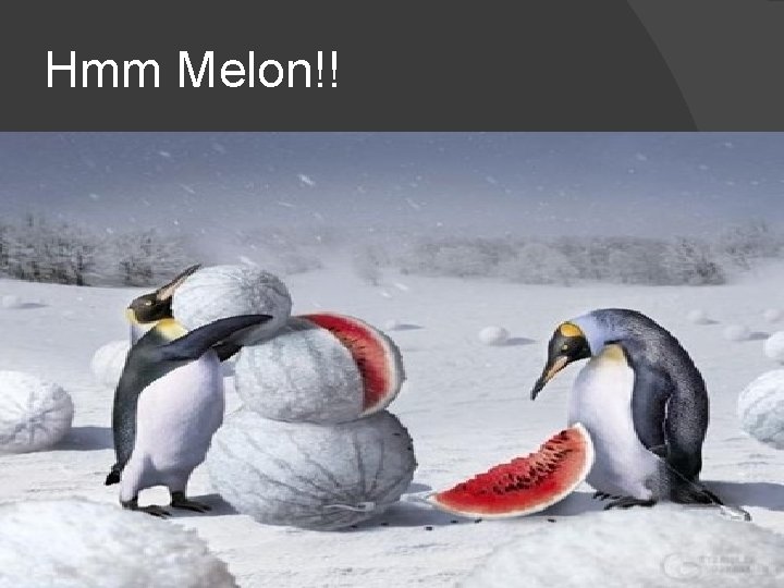 Hmm Melon!! 