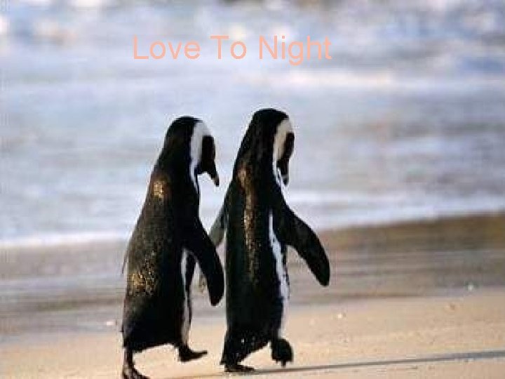 Love To Night 