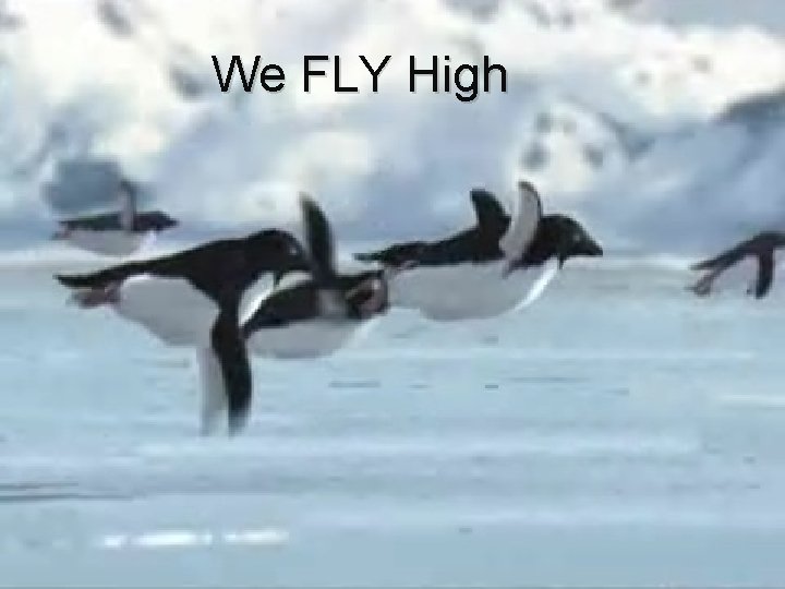 We FLY High 