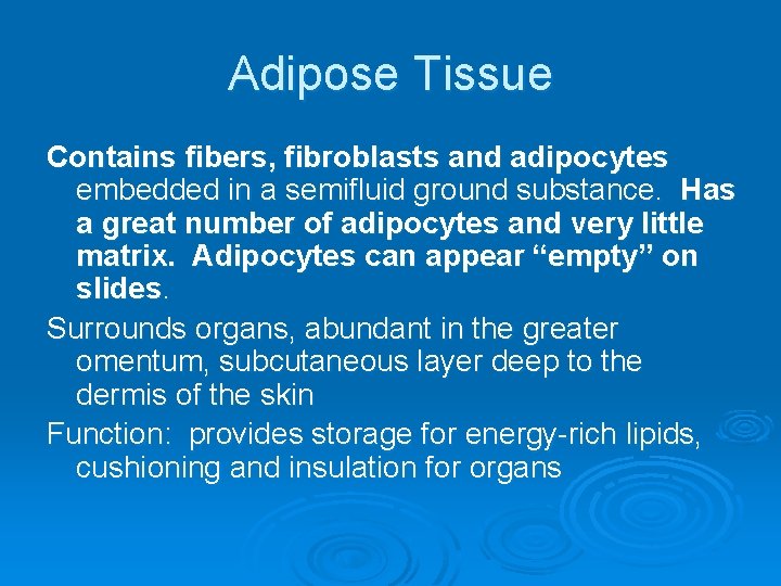 Adipose Tissue Contains fibers, fibroblasts and adipocytes embedded in a semifluid ground substance. Has