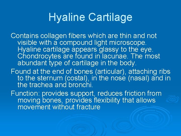 Hyaline Cartilage Contains collagen fibers which are thin and not visible with a compound