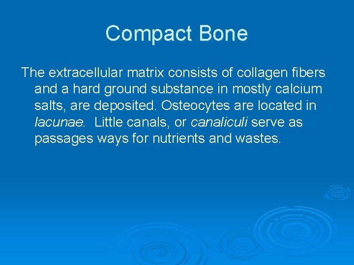 Compact Bone The extracellular matrix consists of collagen fibers and a hard ground substance