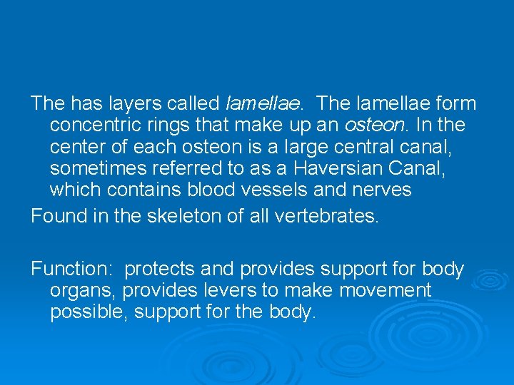 The has layers called lamellae. The lamellae form concentric rings that make up an