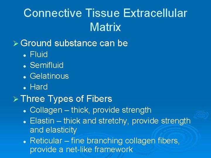 Connective Tissue Extracellular Matrix Ø Ground substance can be l l Fluid Semifluid Gelatinous