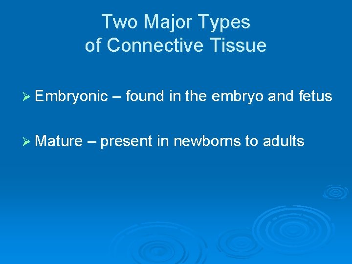 Two Major Types of Connective Tissue Ø Embryonic – found in the embryo and