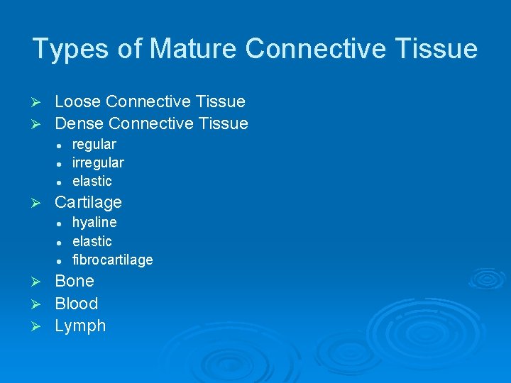 Types of Mature Connective Tissue Loose Connective Tissue Ø Dense Connective Tissue Ø l