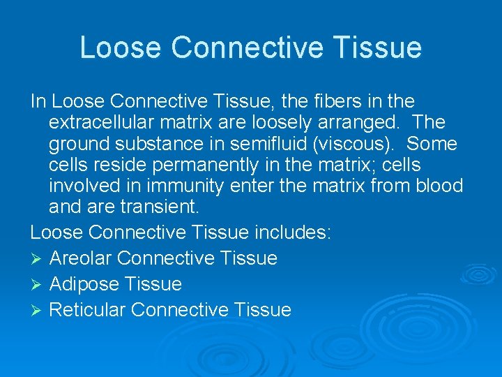 Loose Connective Tissue In Loose Connective Tissue, the fibers in the extracellular matrix are