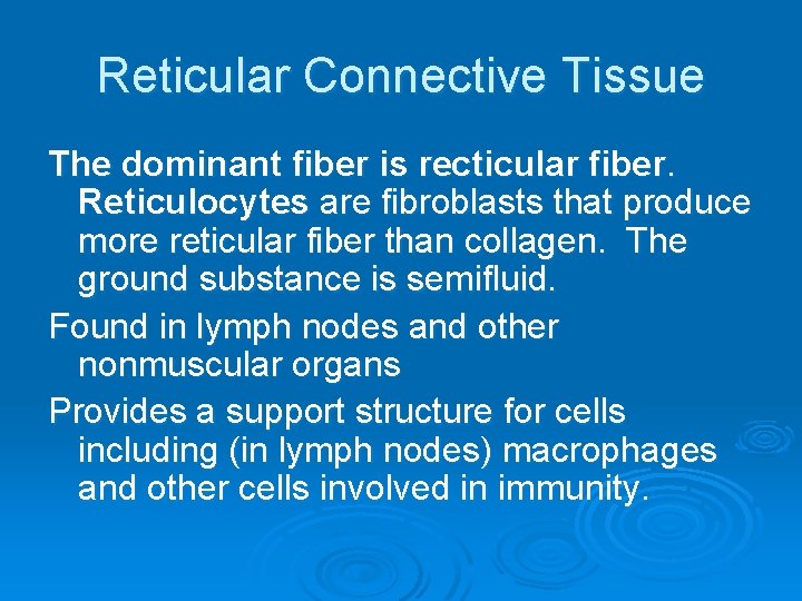 Reticular Connective Tissue The dominant fiber is recticular fiber. Reticulocytes are fibroblasts that produce