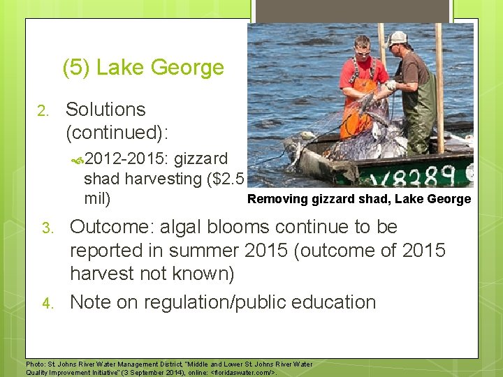 (5) Lake George 2. Solutions (continued): 2012 -2015: gizzard shad harvesting ($2. 5 Removing