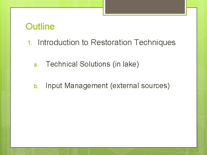 Outline 1. Introduction to Restoration Techniques a. Technical Solutions (in lake) b. Input Management