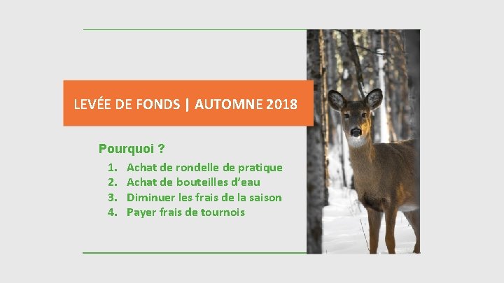 LEVÉE DE FONDS | AUTOMNE 2018 Pourquoi ? 1. Achat de rondelle de pratique