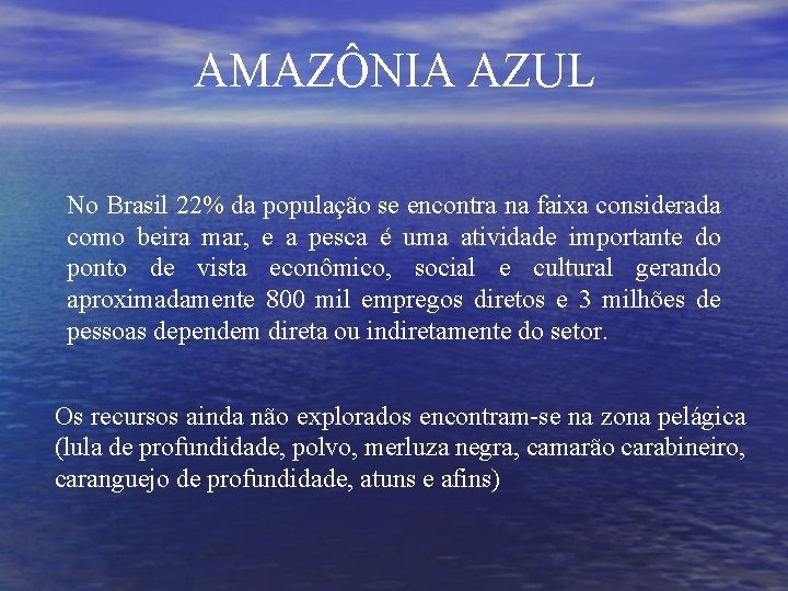 AMAZÔNIA AZUL No Brasil 22% da população se encontra na faixa considerada como beira