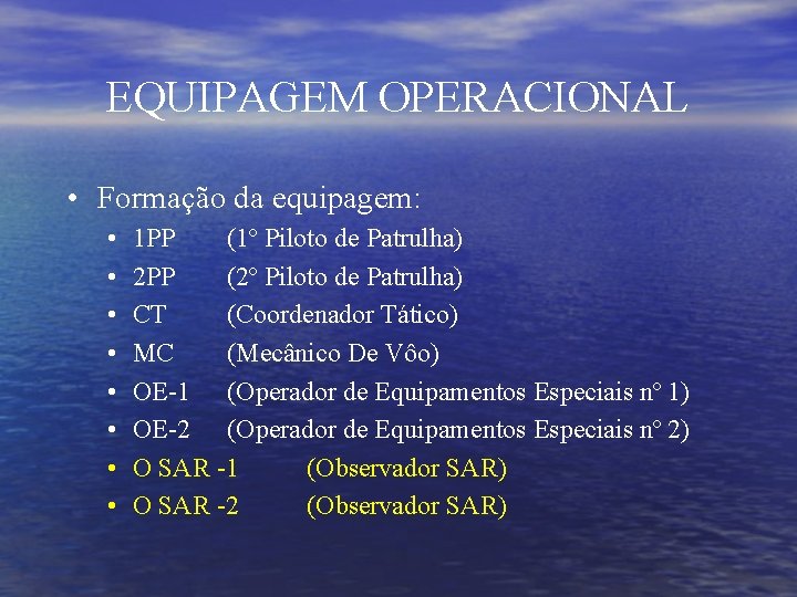 EQUIPAGEM OPERACIONAL • Formação da equipagem: • • 1 PP (1º Piloto de Patrulha)