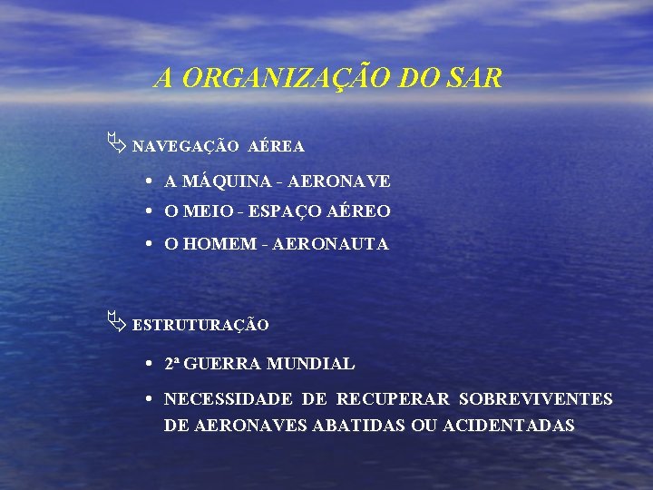 A ORGANIZAÇÃO DO SAR NAVEGAÇÃO AÉREA A MÁQUINA - AERONAVE O MEIO - ESPAÇO