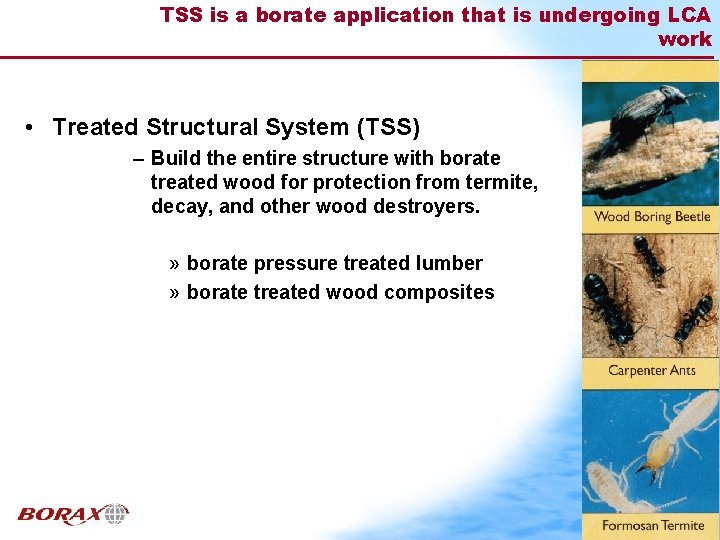 TSS is a borate application that is undergoing LCA work • Treated Structural System