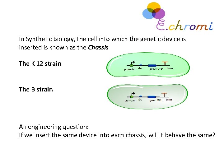 In Synthetic Biology, the cell into which the genetic device is inserted is known