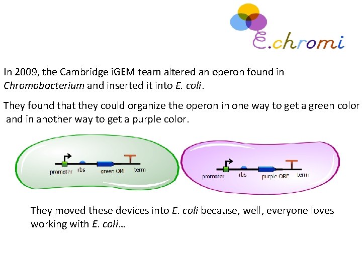 In 2009, the Cambridge i. GEM team altered an operon found in Chromobacterium and