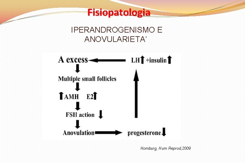 Fisiopatologia IPERANDROGENISMO E ANOVULARIETA’ Homburg, Hum Reprod, 2009 