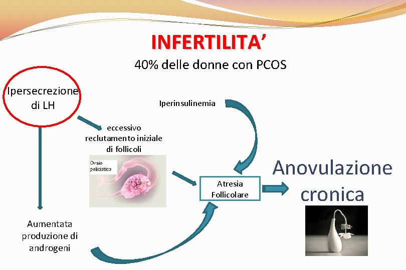 INFERTILITA’ INFERTILITA 40% delle donne con PCOS Ipersecrezione di LH Iperinsulinemia eccessivo reclutamento iniziale