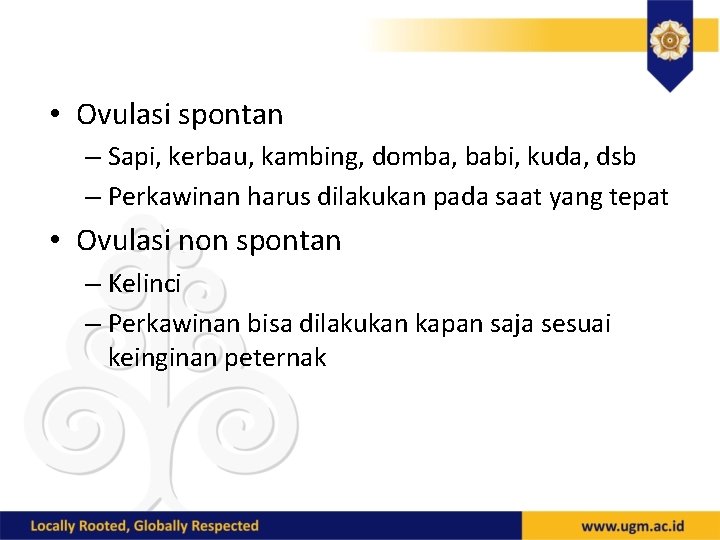  • Ovulasi spontan – Sapi, kerbau, kambing, domba, babi, kuda, dsb – Perkawinan