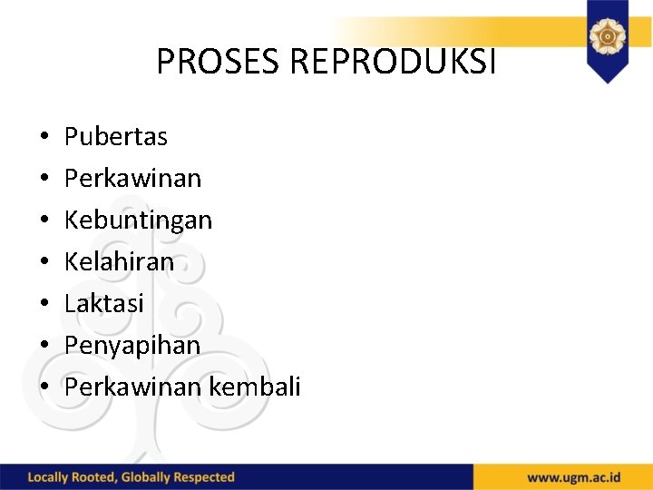 PROSES REPRODUKSI • • Pubertas Perkawinan Kebuntingan Kelahiran Laktasi Penyapihan Perkawinan kembali 