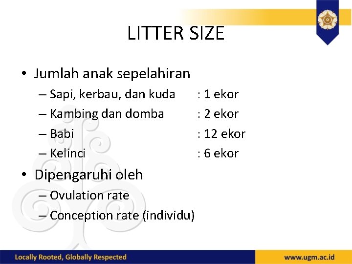 LITTER SIZE • Jumlah anak sepelahiran – Sapi, kerbau, dan kuda – Kambing dan