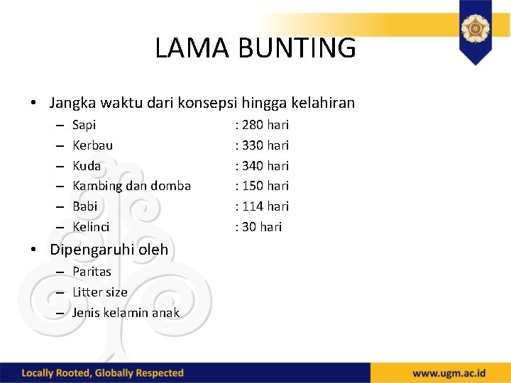 LAMA BUNTING • Jangka waktu dari konsepsi hingga kelahiran – – – Sapi Kerbau