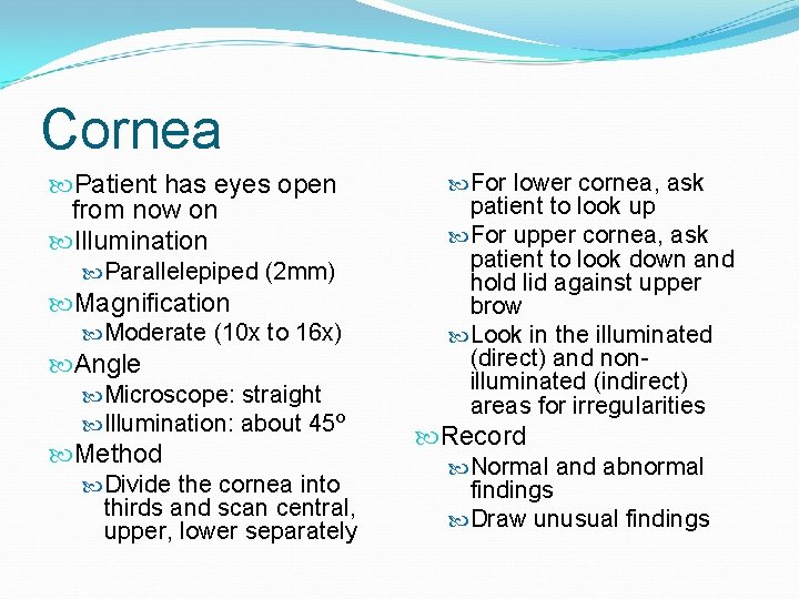 Cornea Patient has eyes open from now on Illumination Parallelepiped (2 mm) Magnification Moderate