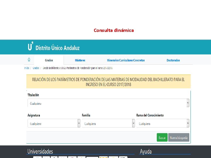 Consulta dinámica 31 
