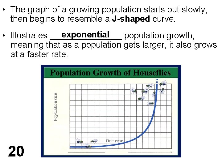  • The graph of a growing population starts out slowly, then begins to