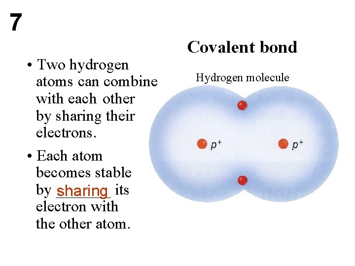 7 • Two hydrogen atoms can combine with each other by sharing their electrons.