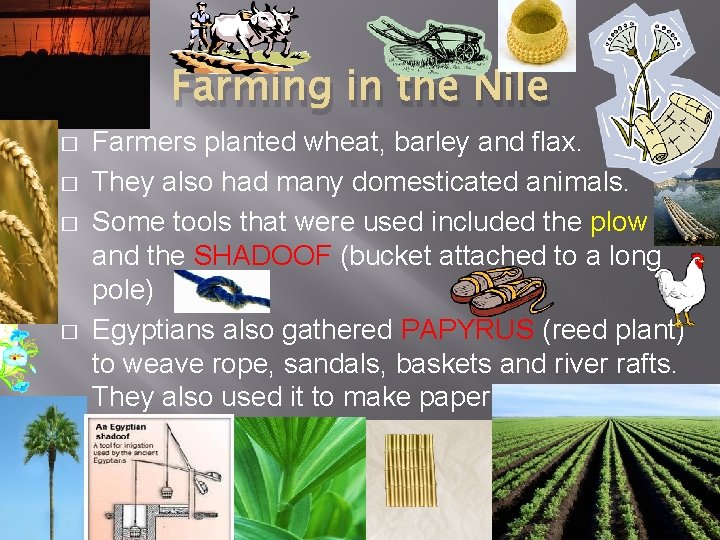 Farming in the Nile � � Farmers planted wheat, barley and flax. They also