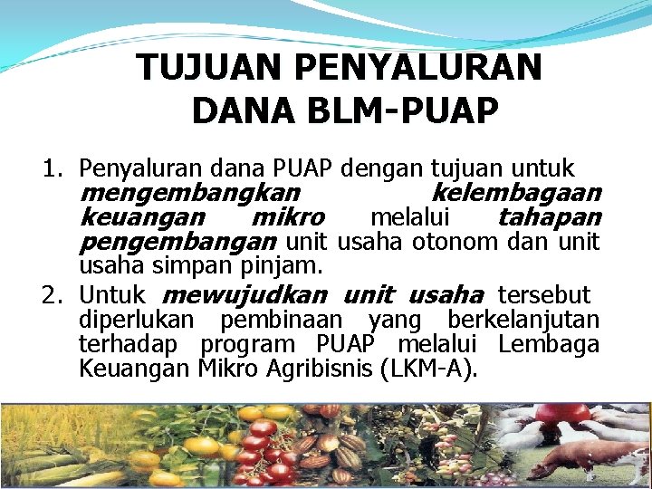 TUJUAN PENYALURAN DANA BLM-PUAP 1. Penyaluran dana PUAP dengan tujuan untuk mengembangkan kelembagaan keuangan